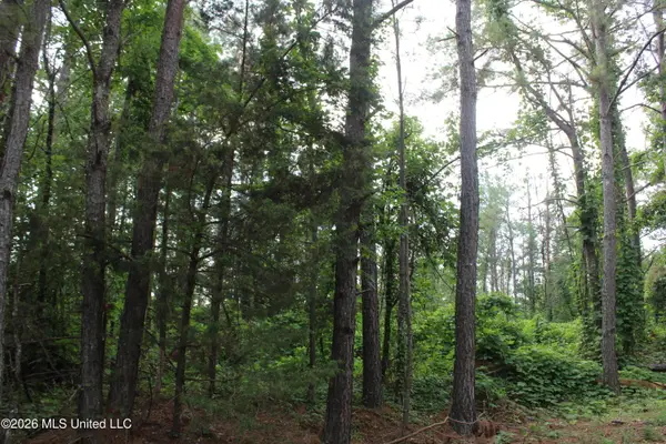 351 Waites, Holly Springs, MS 38635