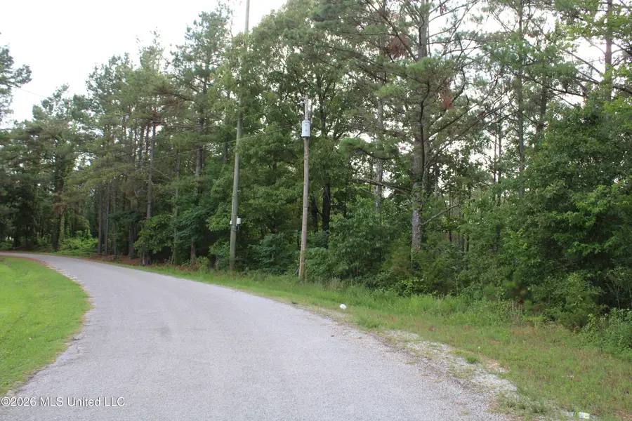 351 Waites, Holly Springs, MS 38635 - #3