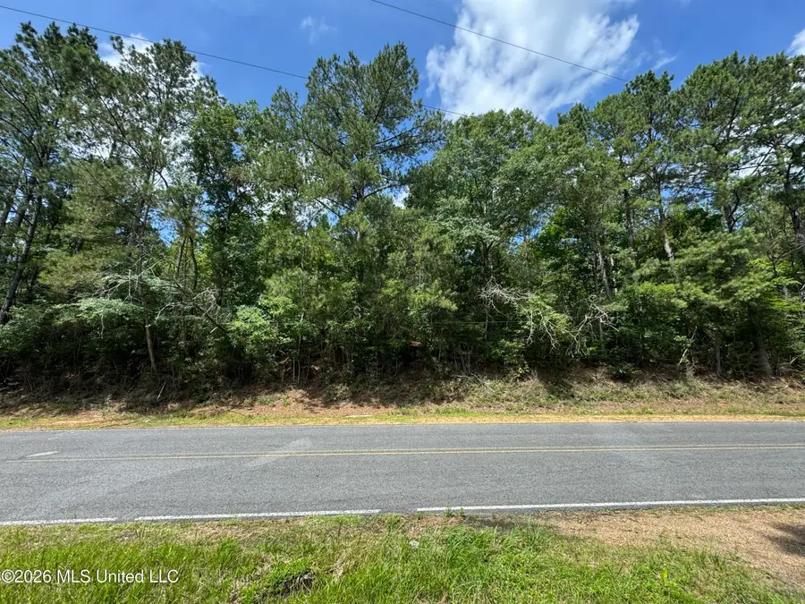 Berwick Cassels/ Hwy 48 Road, Liberty, MS 39645 - #3