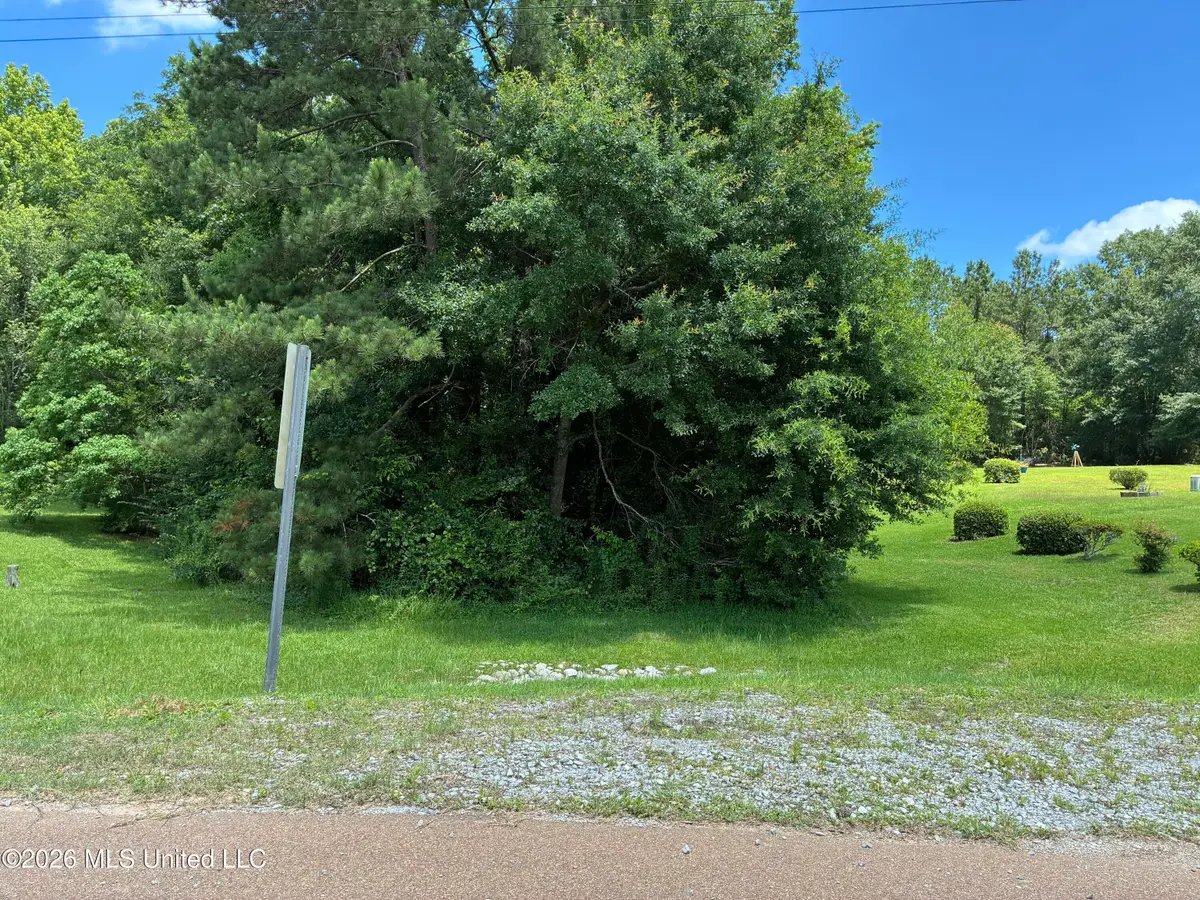Washington Street, Magnolia, MS 39652 - #1