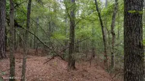 633 Lowhead Dam Road, Lena, MS 39094