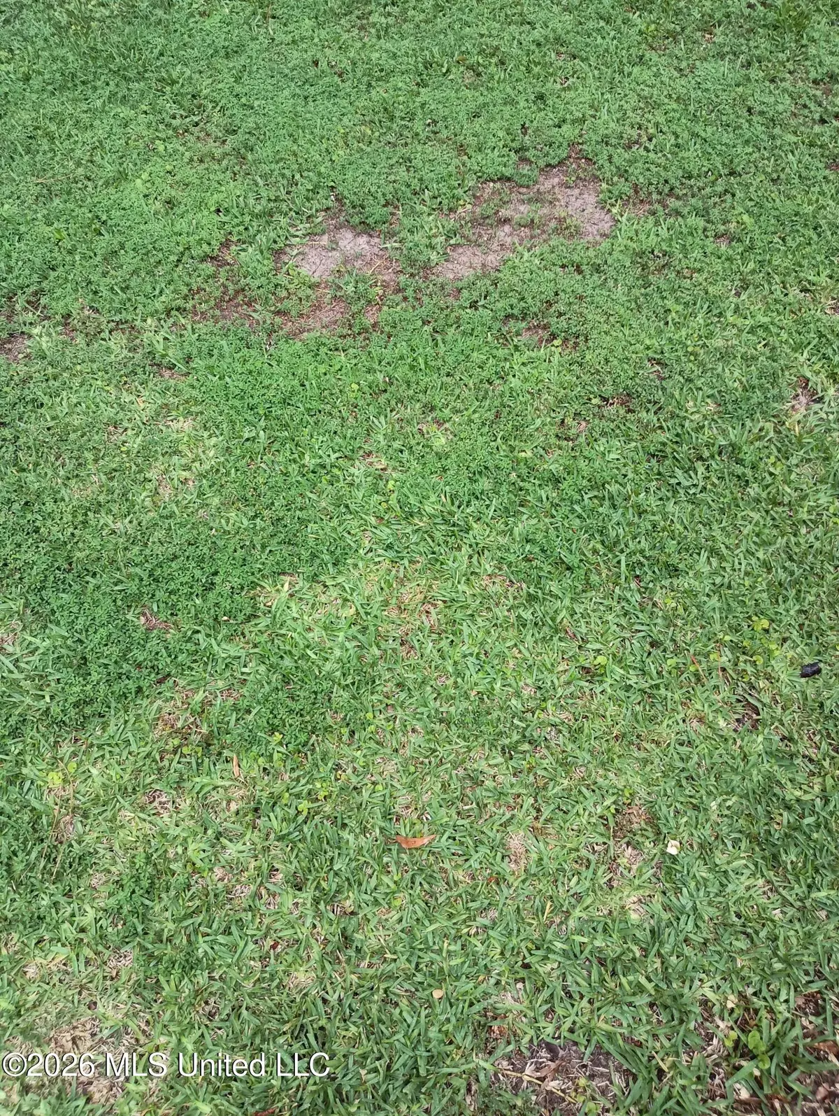 Weisenberger Road, Gluckstadt, MS 39110 - #1