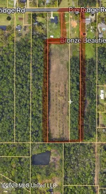 14209 Big Ridge Road, Biloxi, MS 39532 - #3