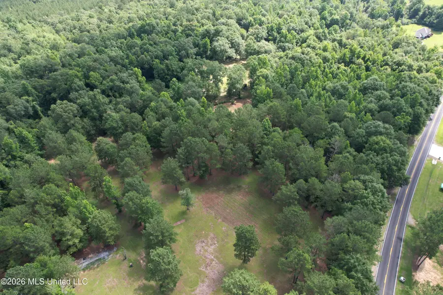 135 Joe Booth Road, Taylorsville, MS 39168 - #2
