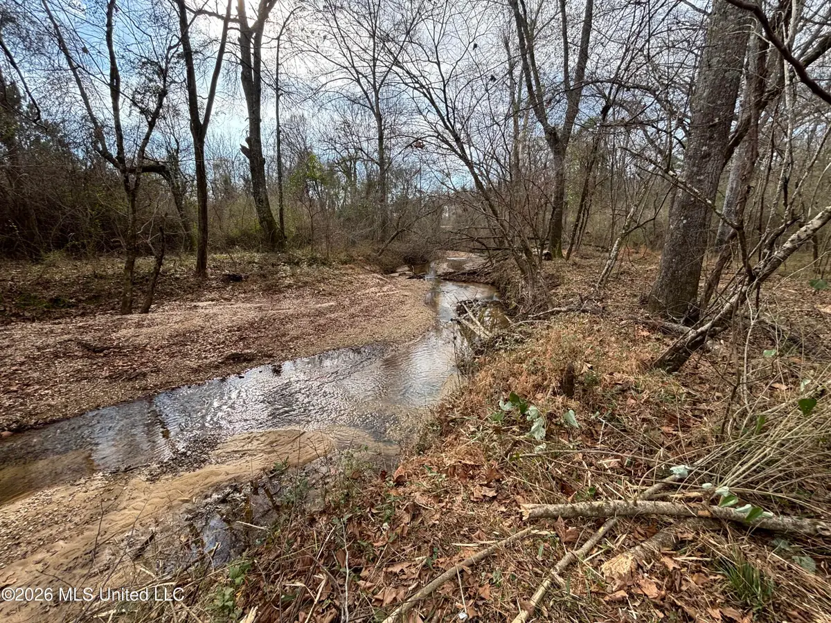 W Gallatin Street, Hazlehurst, MS 39083 - #1