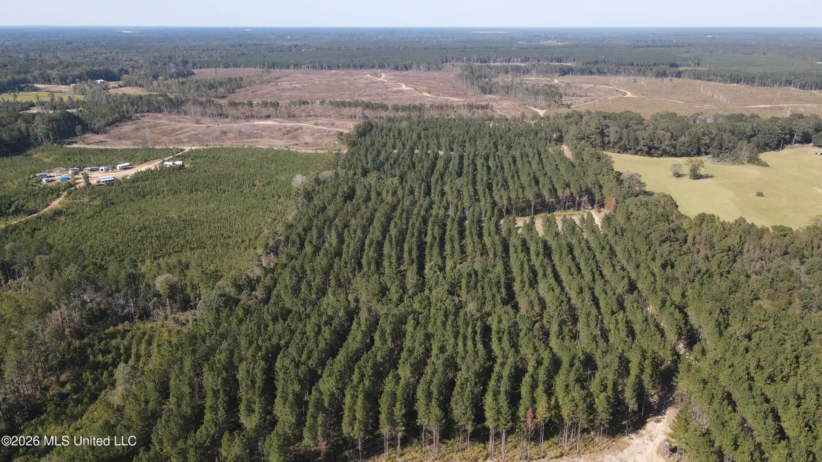 Loyd Irby Road, Pelahatchie, MS 39145 - #1