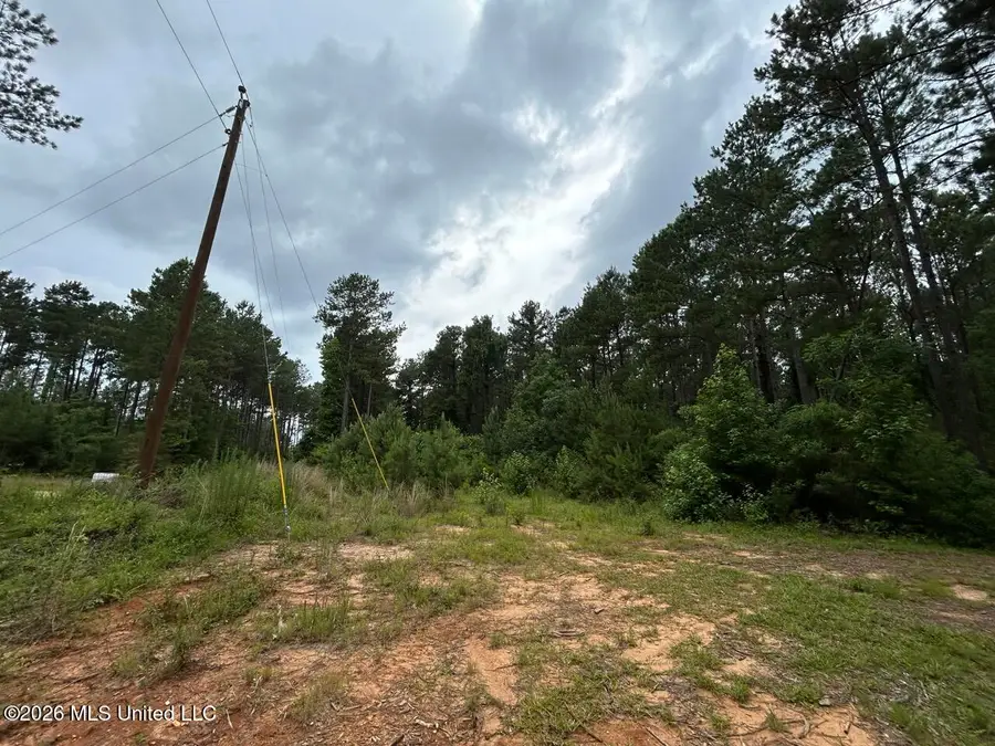 6643 Grange Hall Road, Osyka, MS 39657 - #2