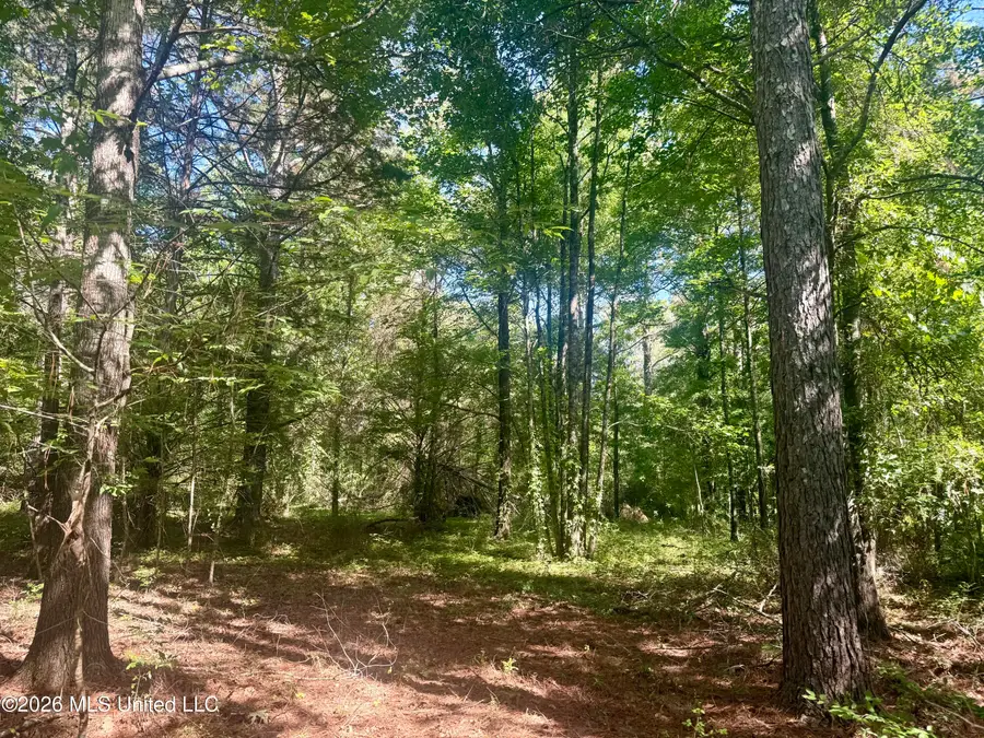 Willow Way, Flora, MS 39071 - #2