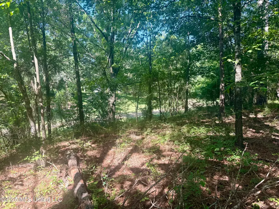 Willow Way, Flora, MS 39071 - #3