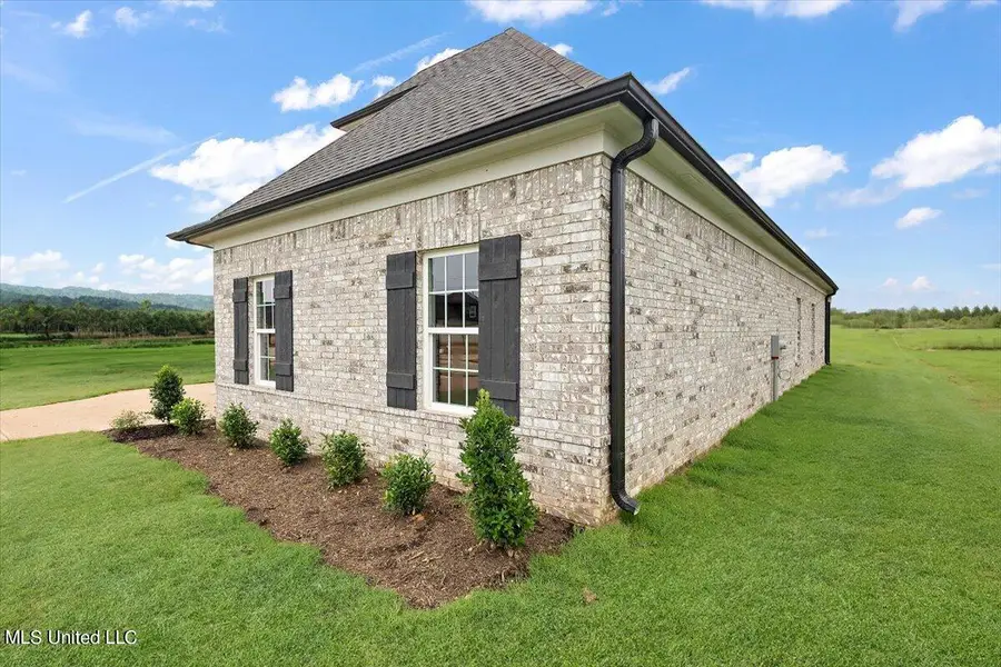 6602 John Hamilton Way, Olive Branch, MS 38654 - #3