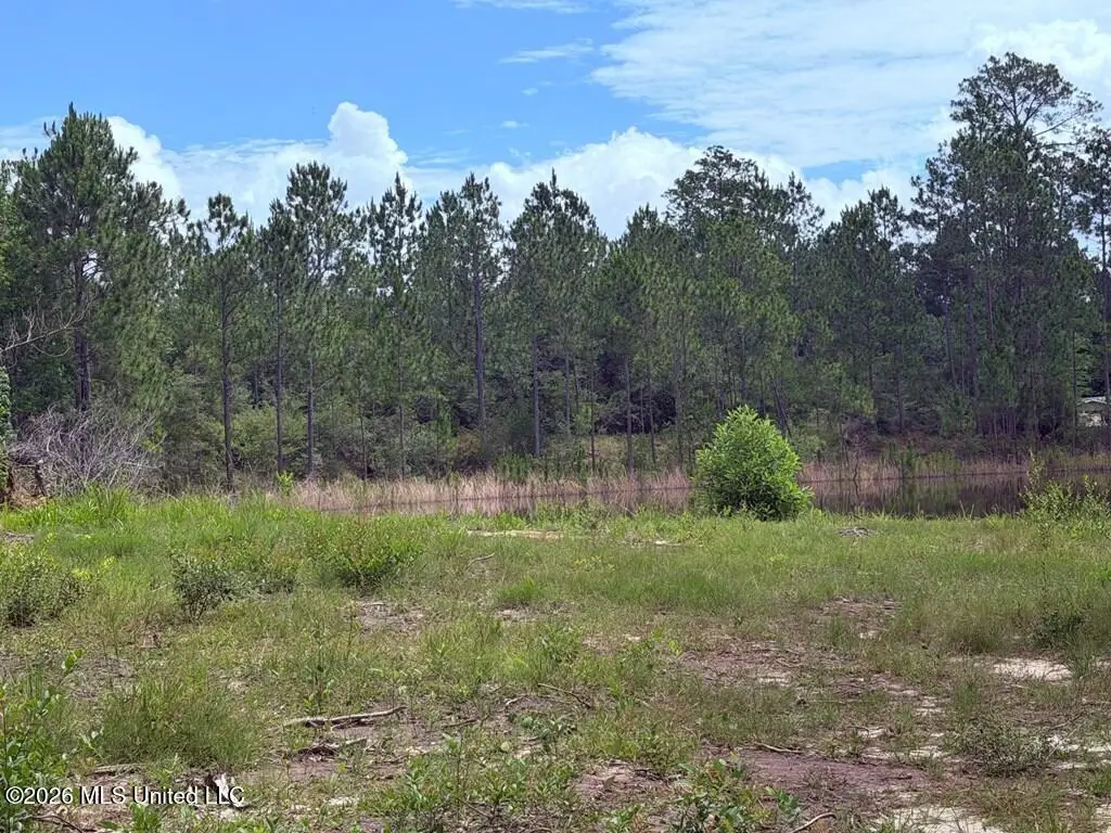 E Lake Cypress Drive, Perkinston, MS 39573 - #1