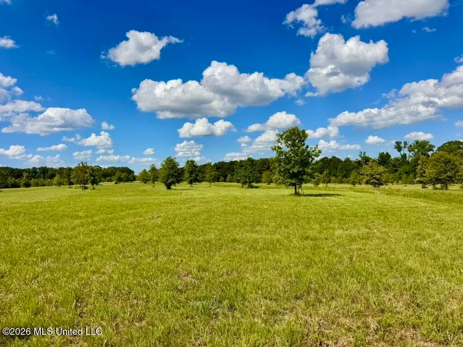 0014 Windermere Boulevard, Madison, MS 39110 - #2