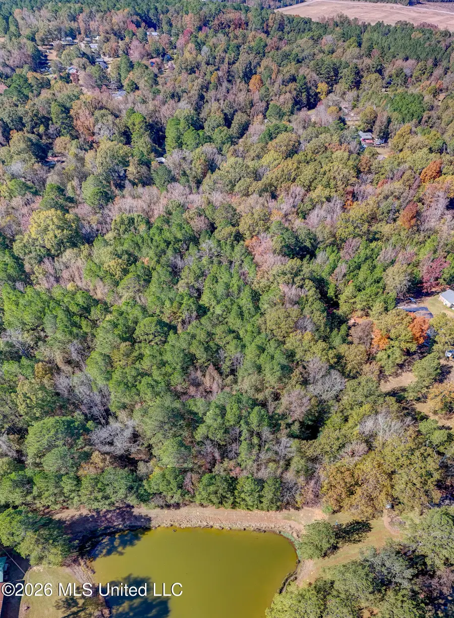 Brenmar Street, Brandon, MS 39042 - #2