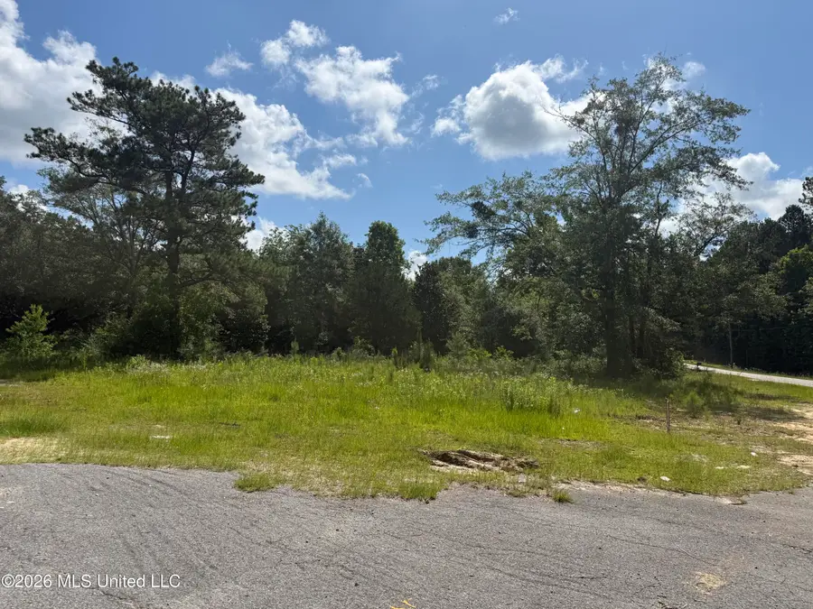 22280 Success Road, Saucier, MS 39574 - #2