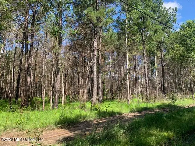 Lower Bay Road, Bay Saint Louis, MS 39520 - #3