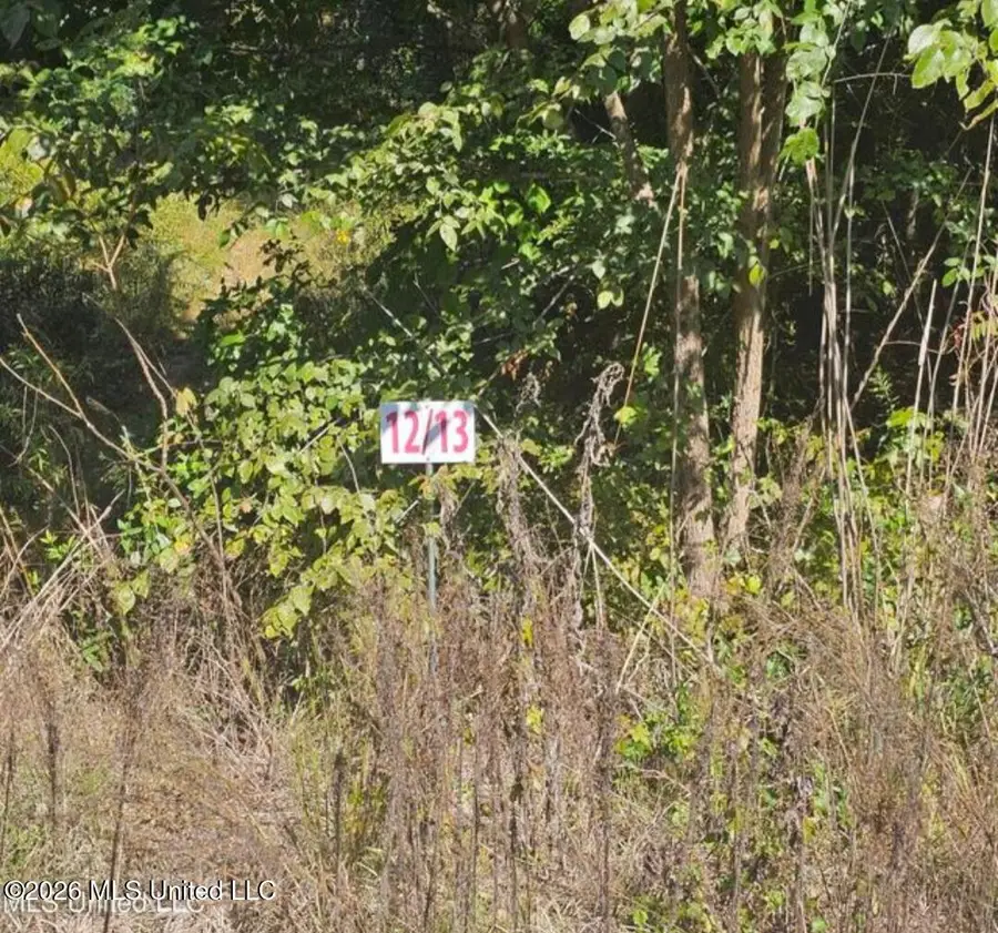13 Sunset Drive, Coldwater, MS 38618 - #2