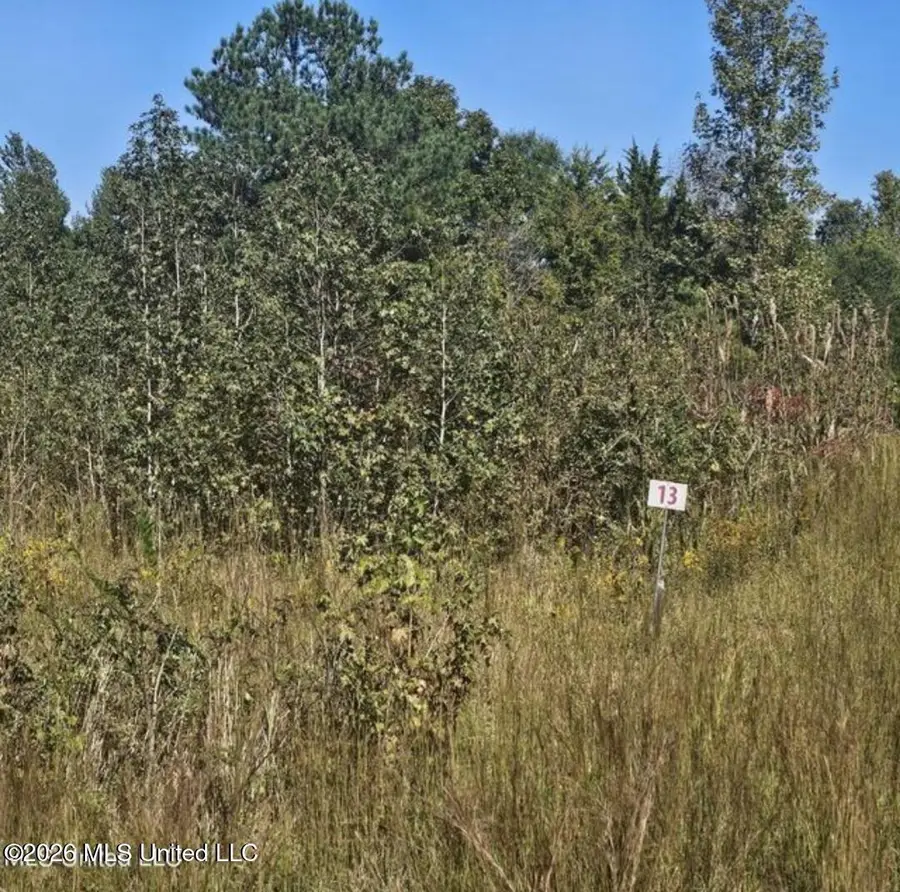 13 Sunset Drive, Coldwater, MS 38618 - #3