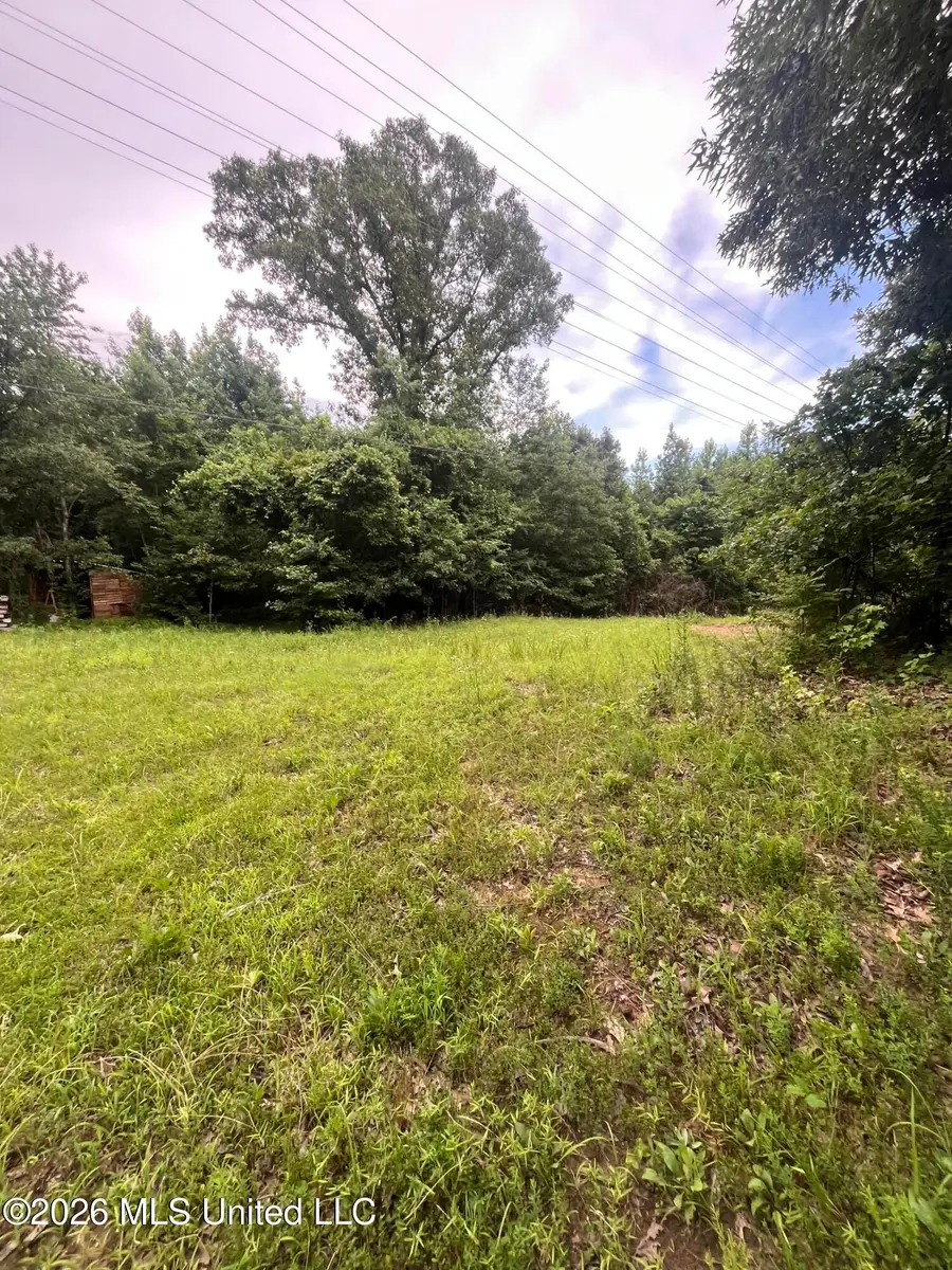 Longtown Road, Sarah, MS 38665 - #2
