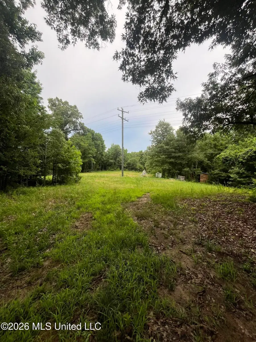 Longtown Road, Sarah, MS 38665 - #3