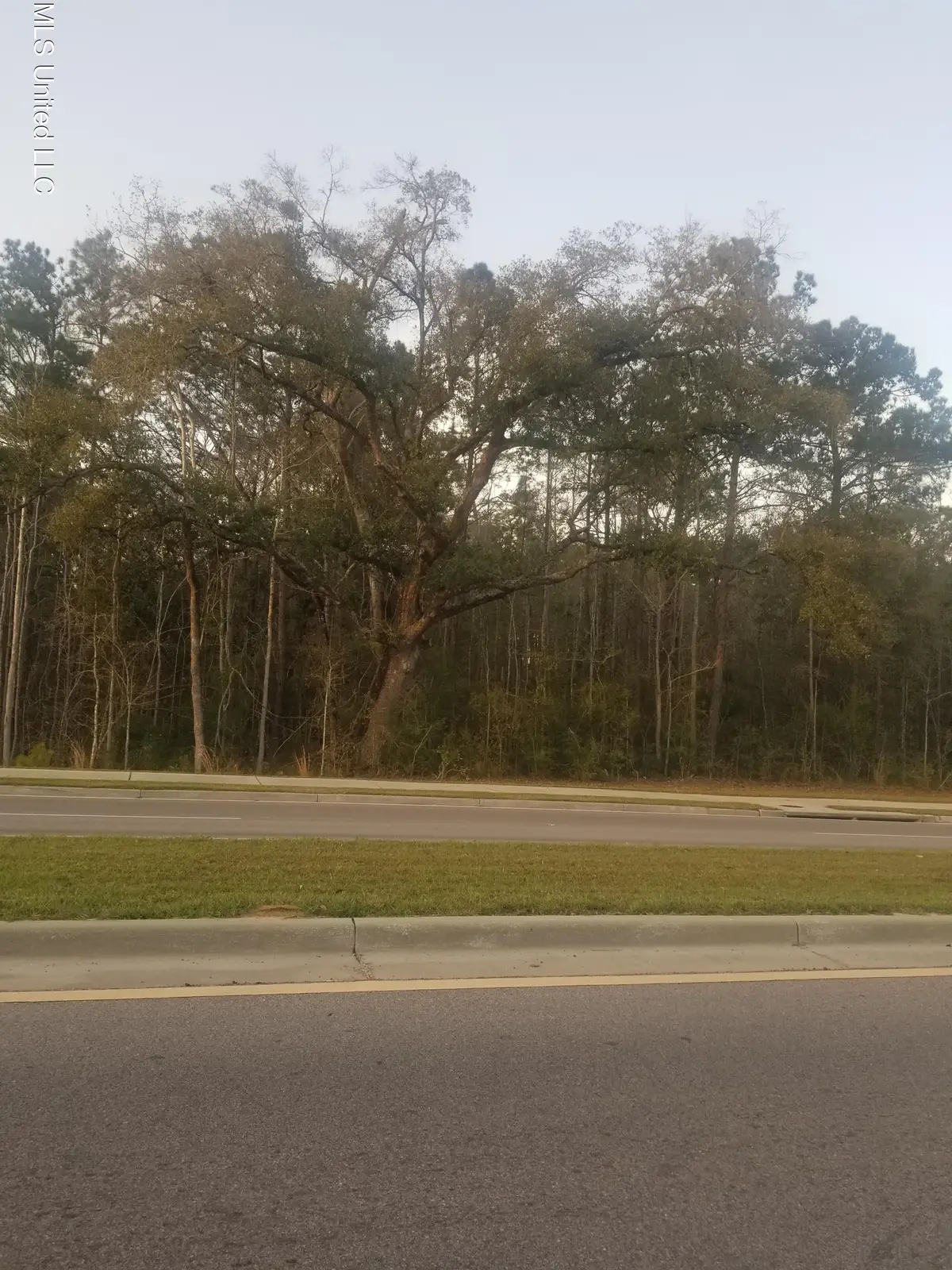 Daisy Vestry Road, Biloxi, MS 39532 - #1