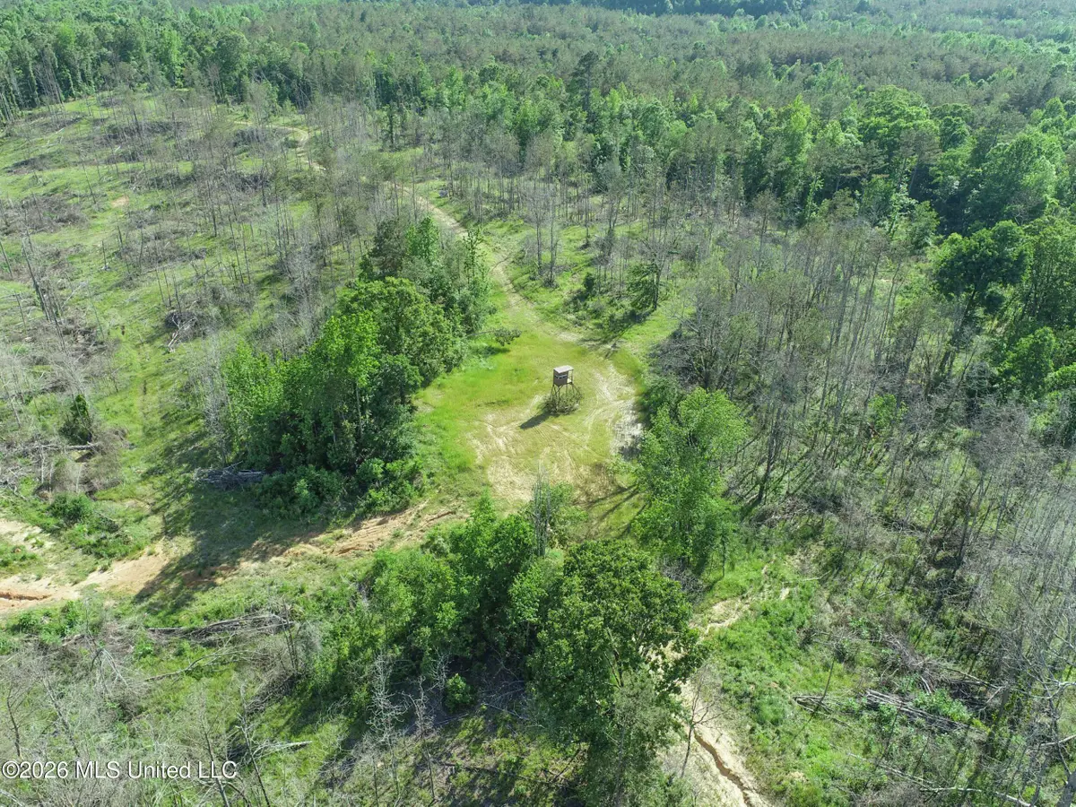 Wayne Massie Road, Como, MS 38619 - #1