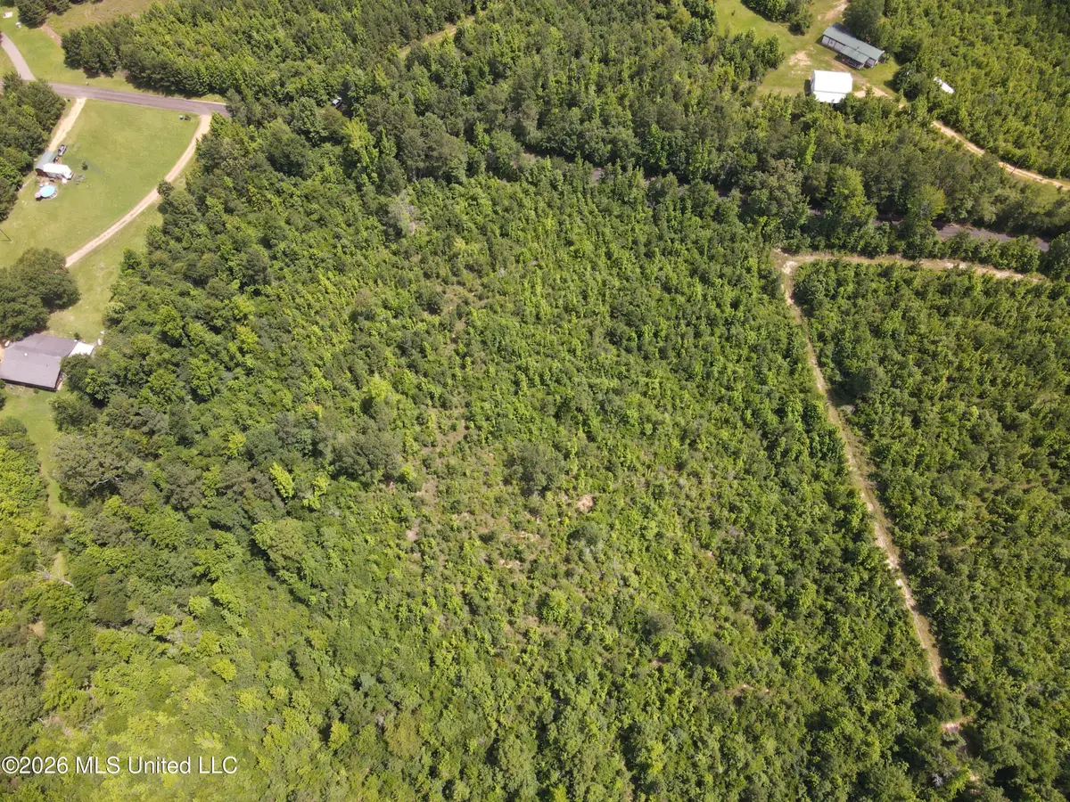 Shucktown Road, McCall Creek, MS 39647 - #1