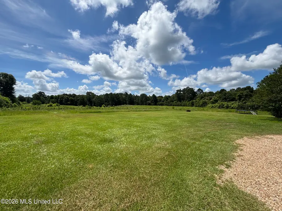 166 W Lexie Road, Tylertown, MS 39667 - #2