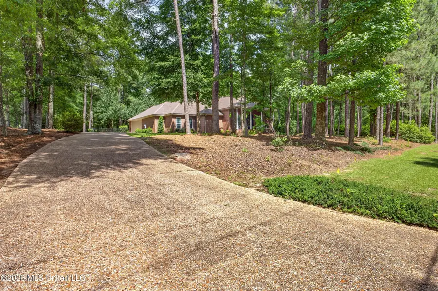 228 Jervis Mims Road, Hattiesburg, MS 39401 - #3