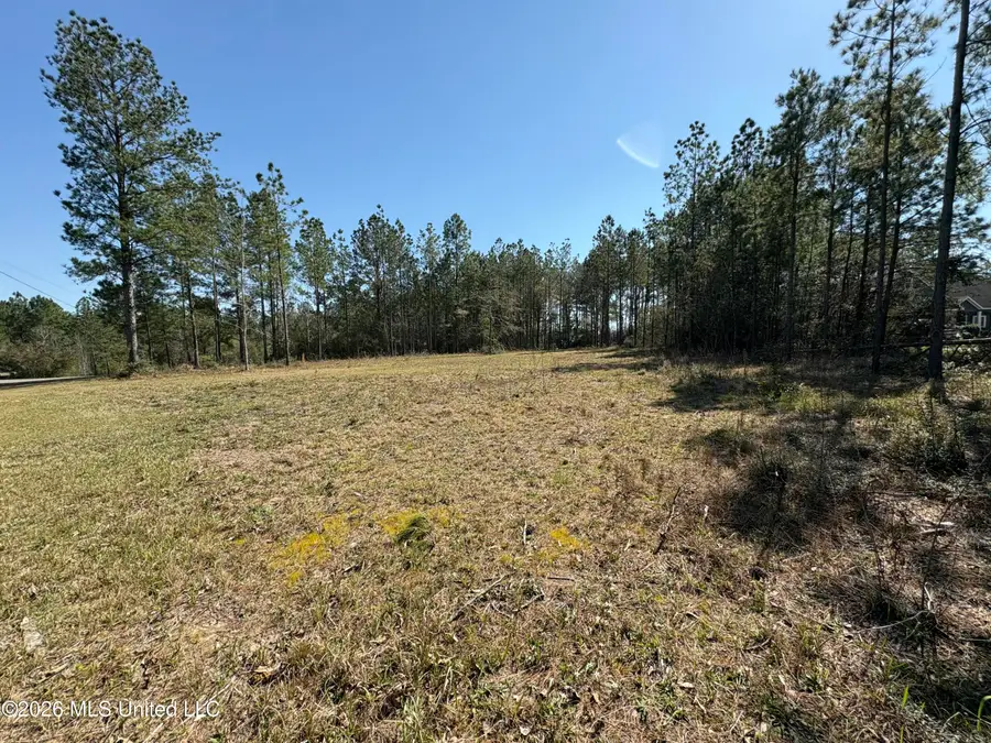 Lot 13 Tobee Road, Saucier, MS 39574 - #2