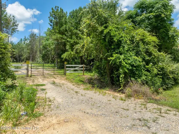 31 Acres Ridgeland Road, Bassfield, MS 39421