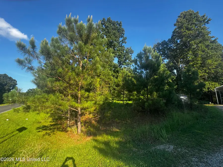289 Saint Paul Road, Byhalia, MS 38611 - #3