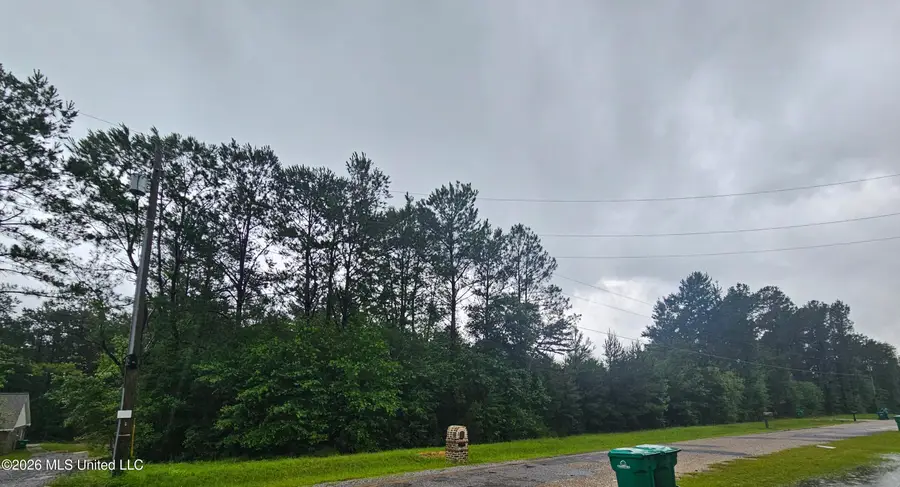 27400 E Lake Cypress Drive, Perkinston, MS 39573 - #3