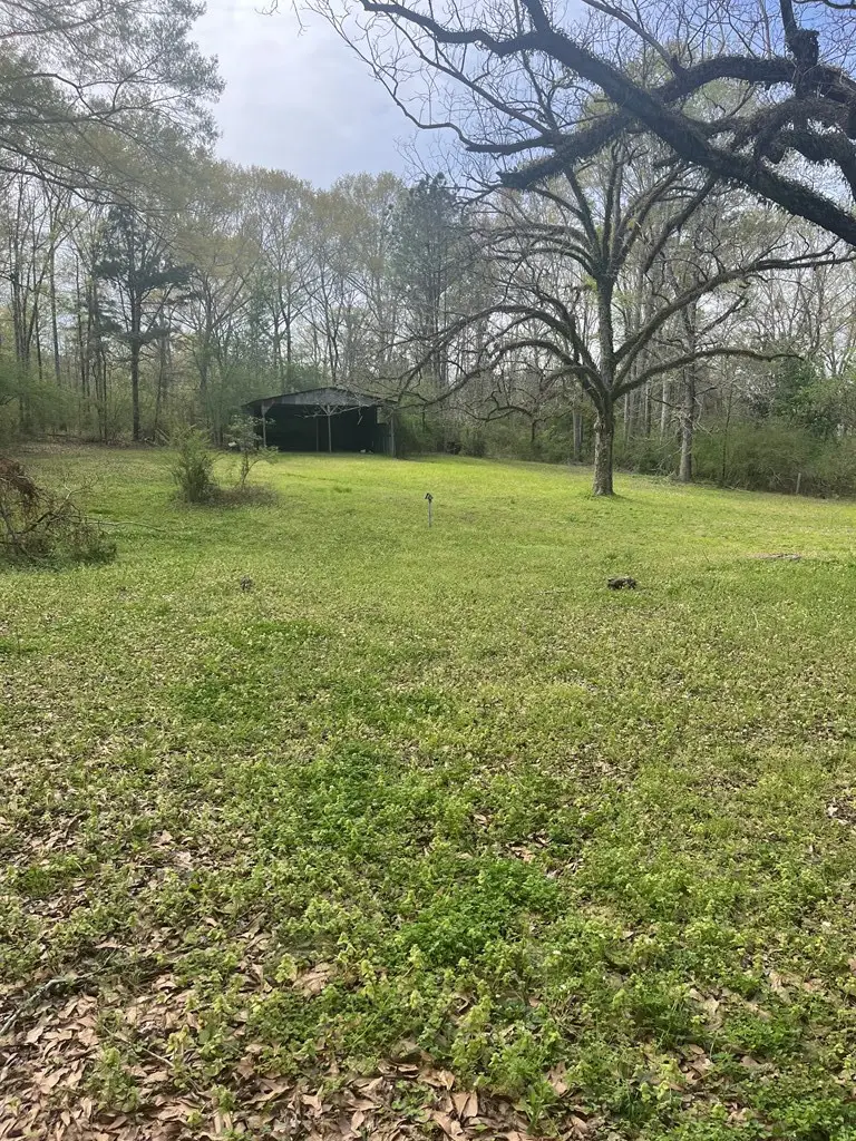 1433 Sam Mcneil Lane, Gloster, MS 39638 - #3
