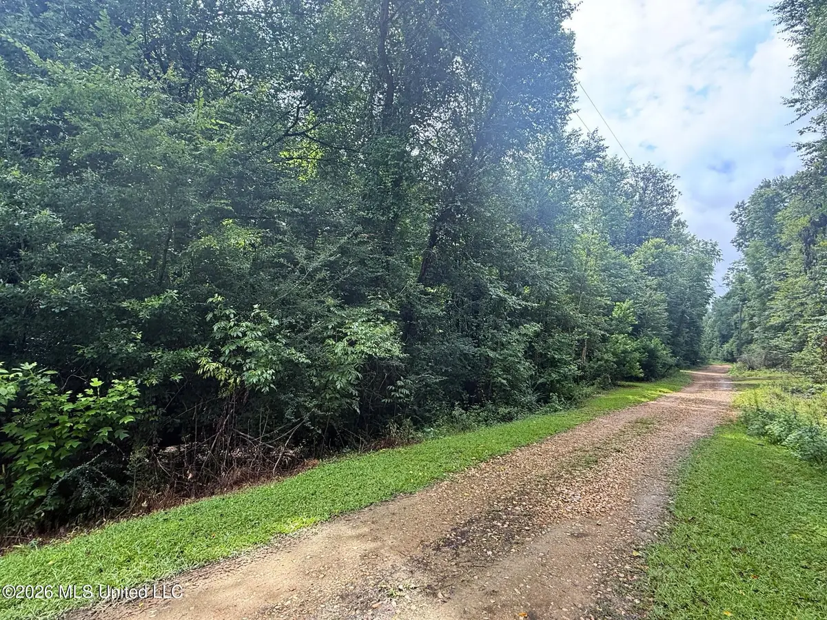 3042 Brandi Road, Summit, MS 39666 - #1