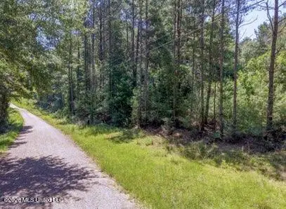 Nhn NW Neil Lambert Road, Jayess, MS 39641 - #3