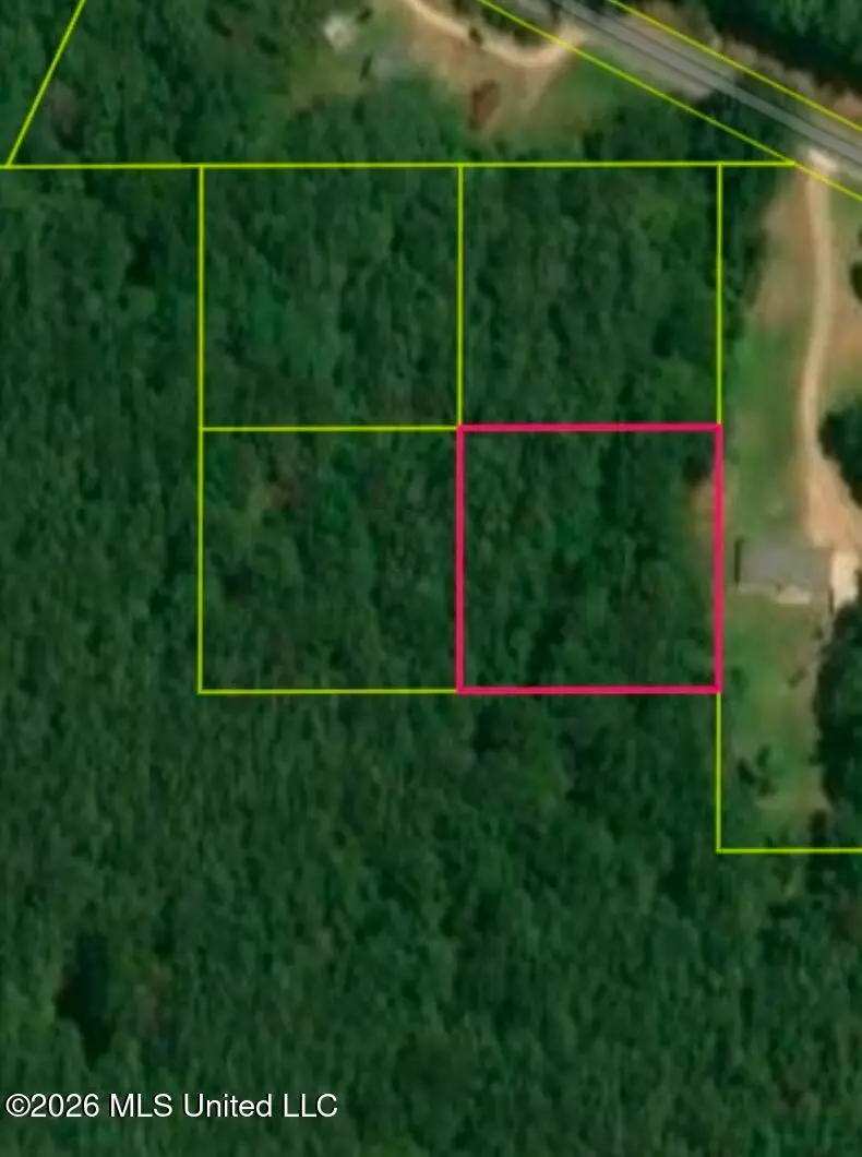 SW Summit Drive, Bogue Chitto, MS 39629 - #1