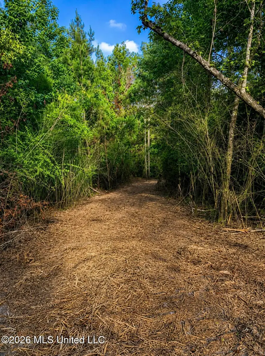 8847 County Road 77, Mize, MS 39116 - #3