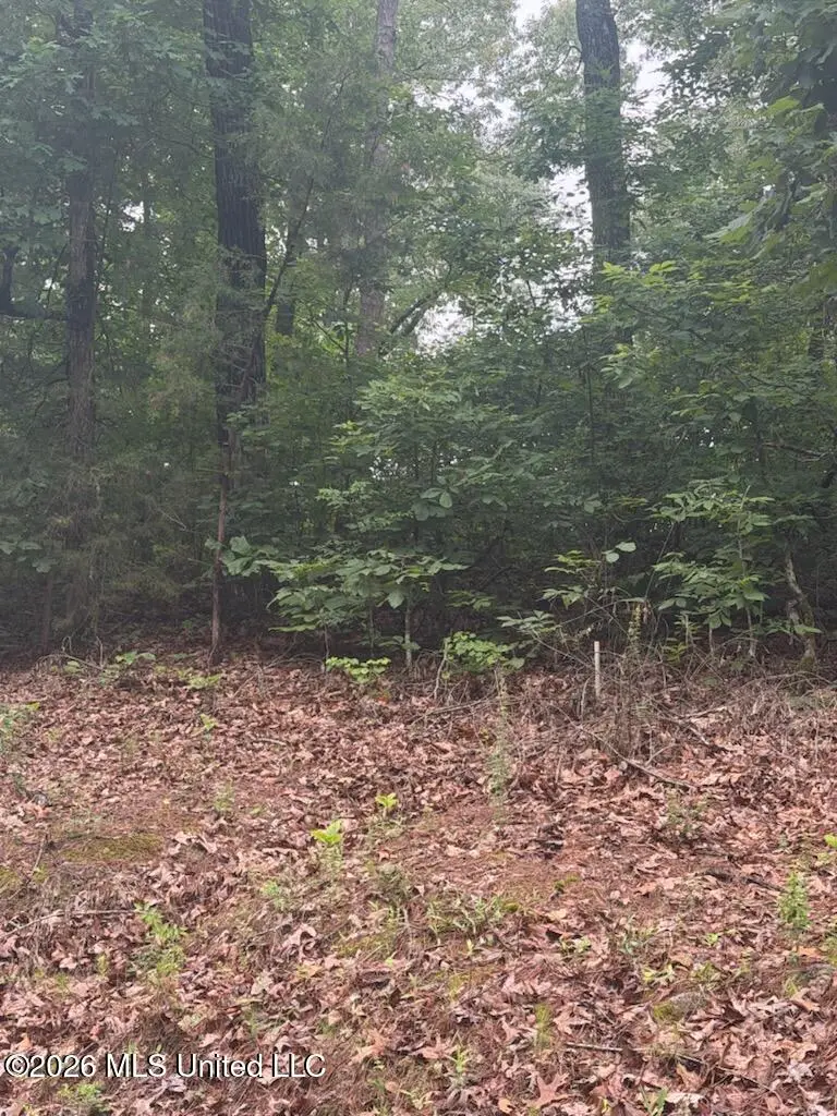 Shurden Owen Drive, Gore Springs, MS 38929 - #1
