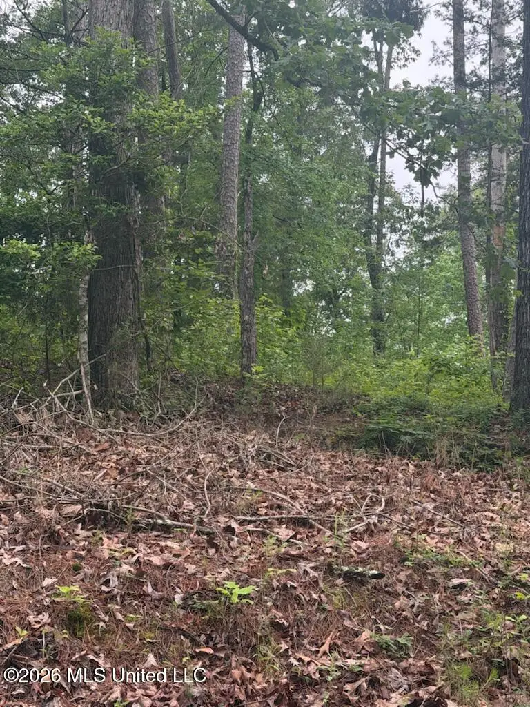 Shurden Owen Drive, Gore Springs, MS 38929 - #2
