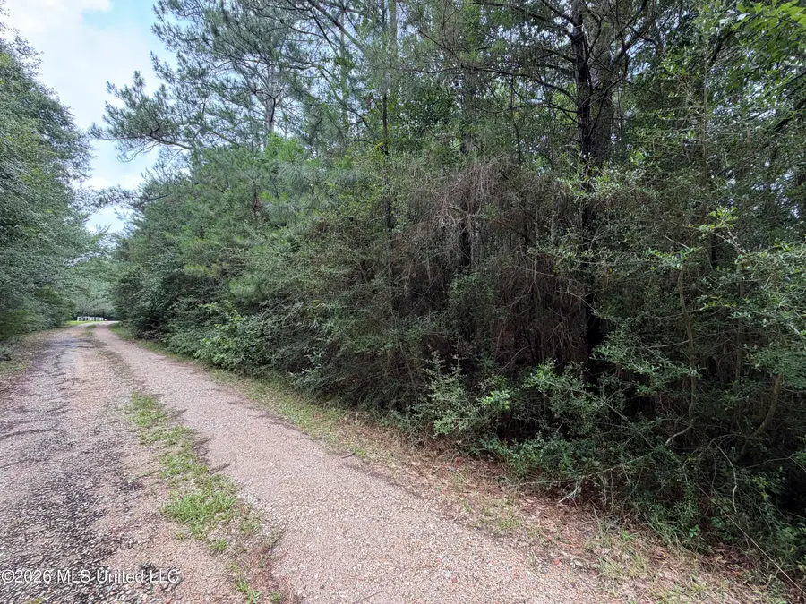 Misty Lane, Lumberton, MS 39455 - #2