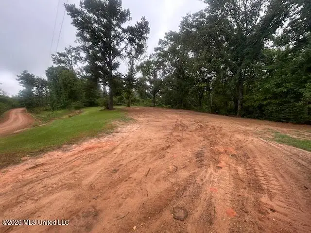 2347 Attala Road 4112, Sallis, MS 39160 - #2