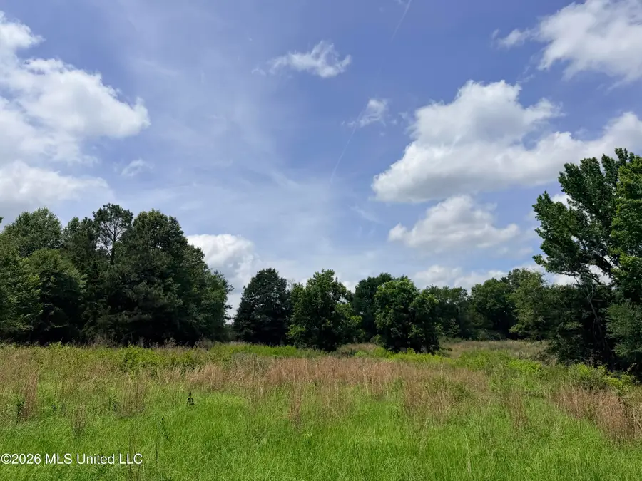 Lot #12 Wildwood At Pinehaven Drive, Jackson, MS 39209 - #3