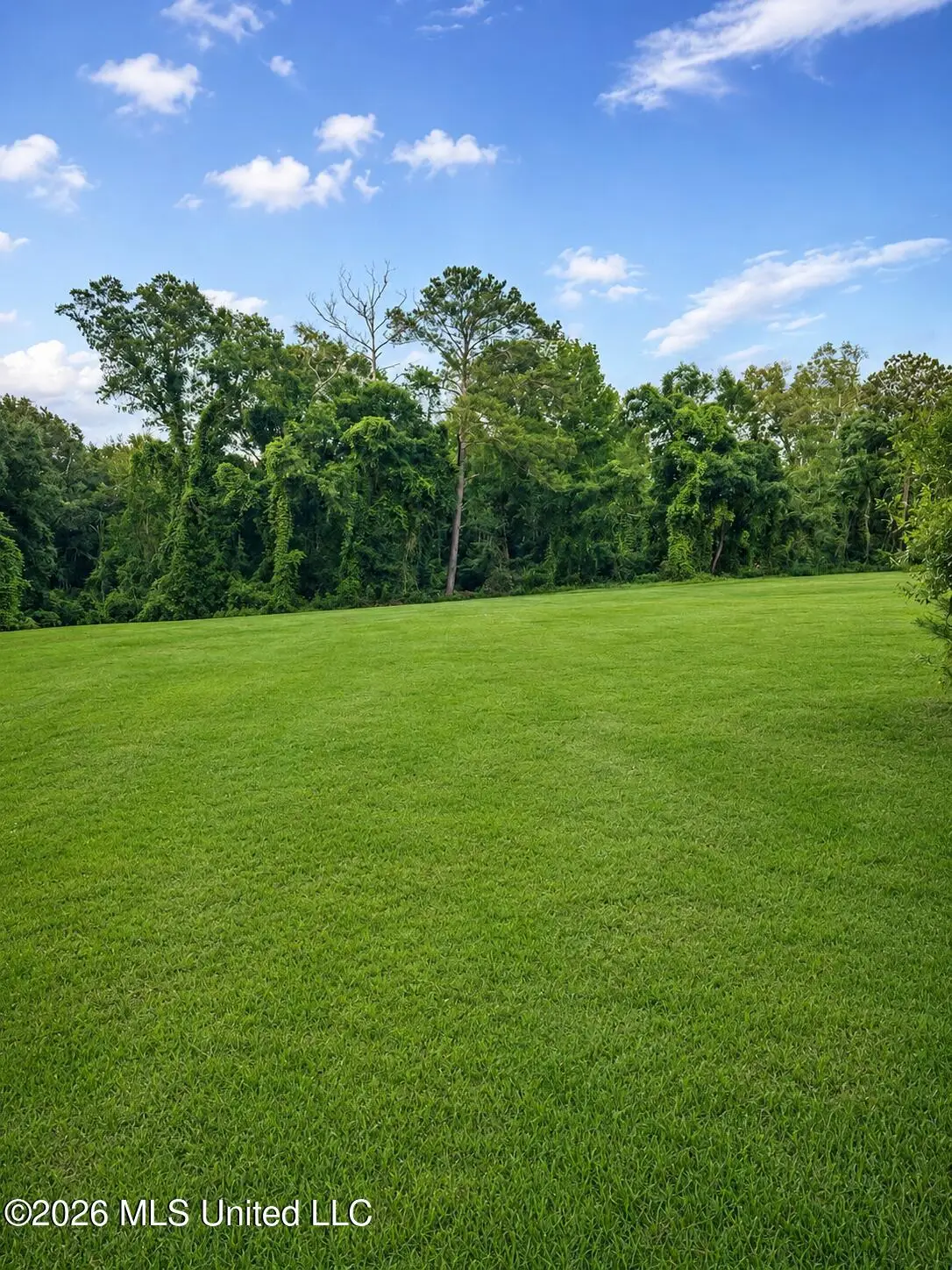 00 Oak Street, Mize, MS 39116 - #1