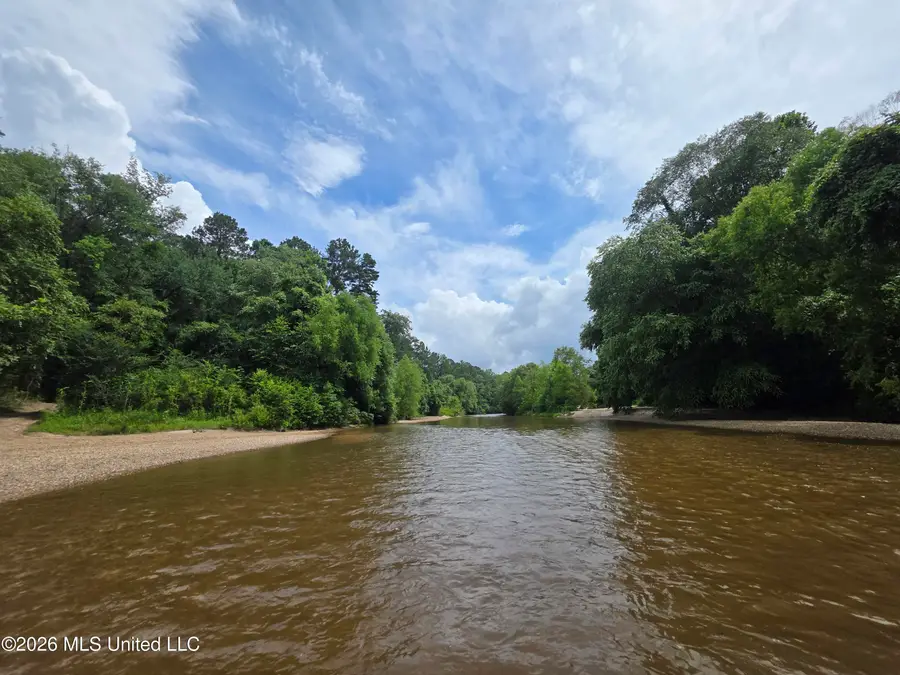 244 Foster Road, Sontag, MS 39665 - #2