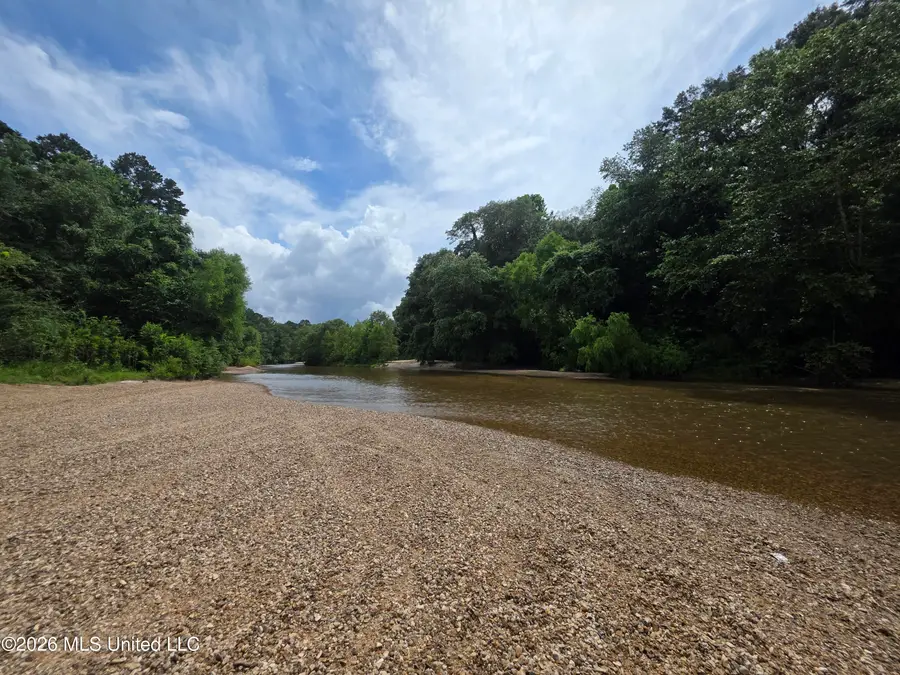 244 Foster Road, Sontag, MS 39665 - #3