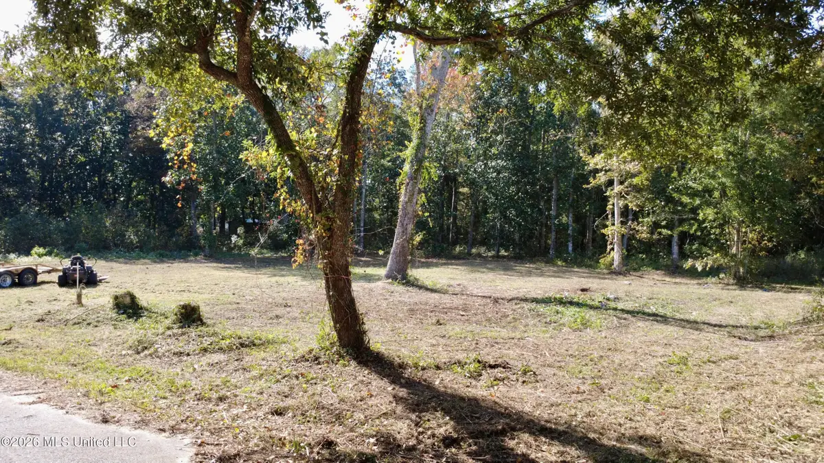 Loraine Street, Ocean Springs, MS 39564 - #1