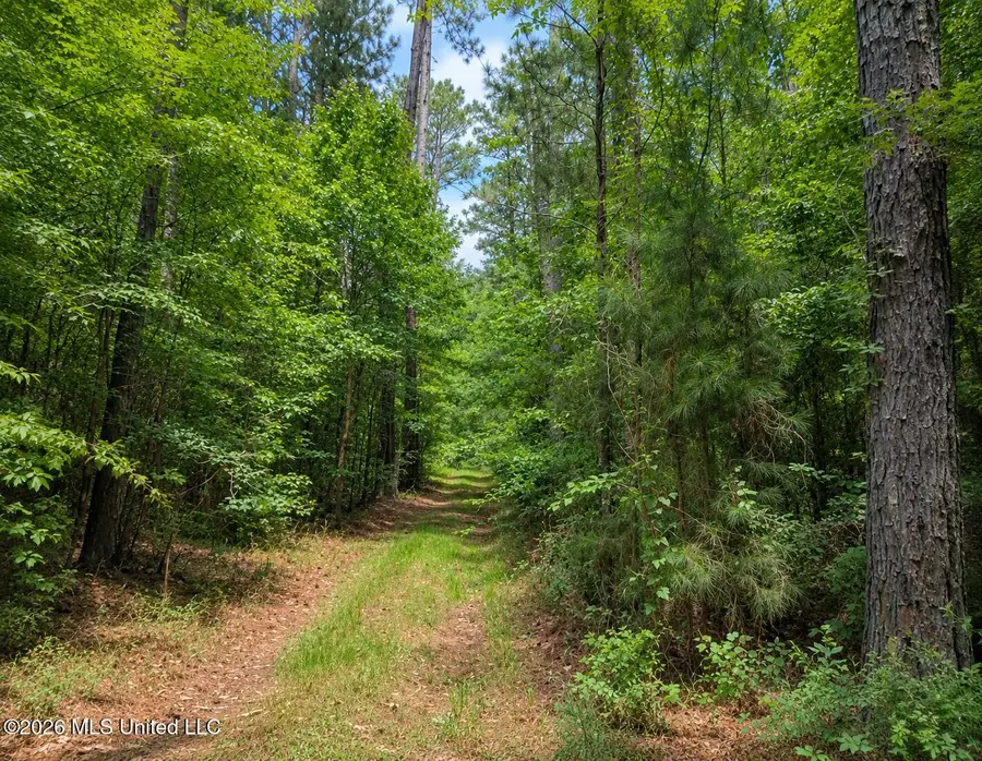 Scr Road 114, Mize, MS 39116 - #2