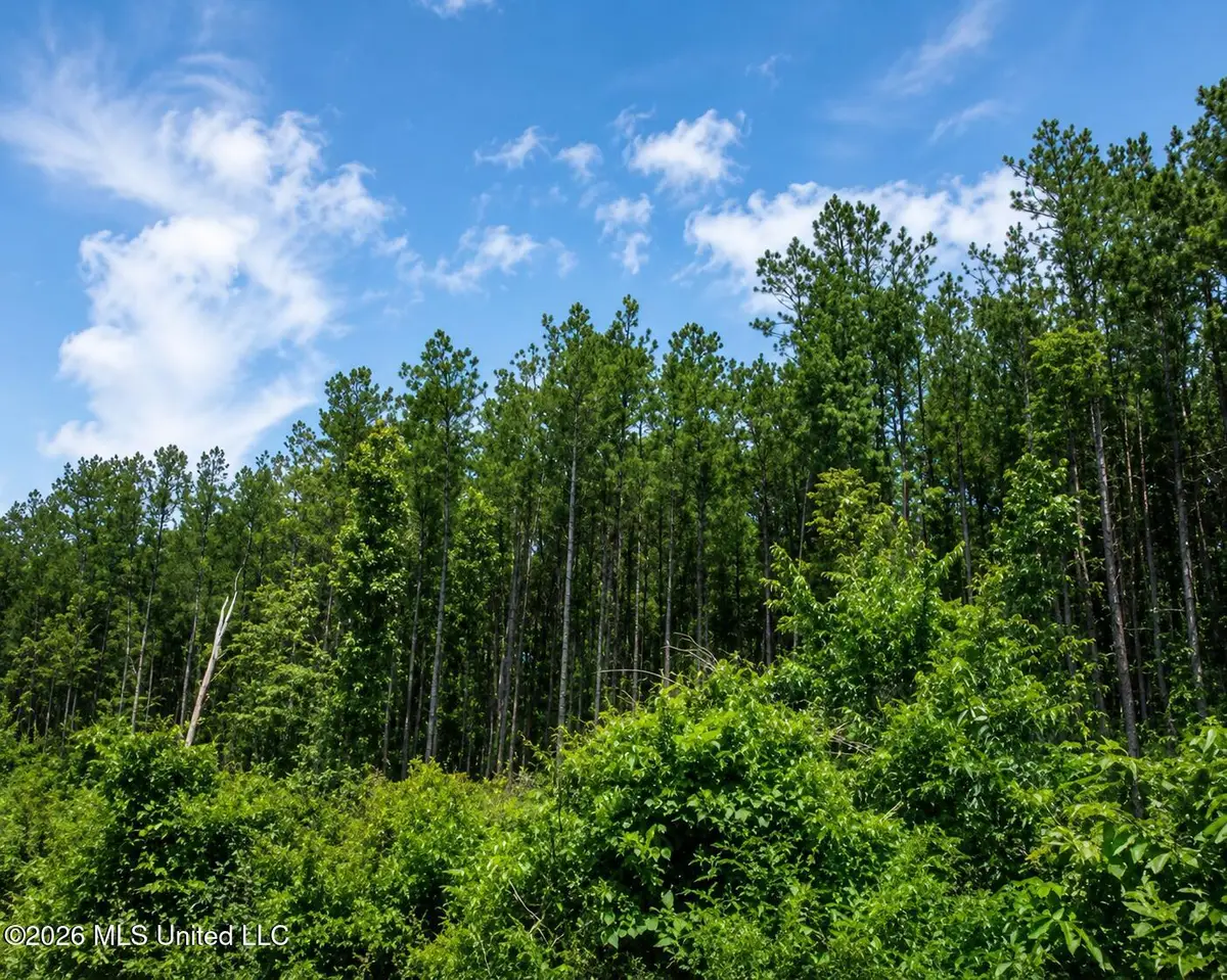 S C Road 114, Mize, MS 39116 - #1
