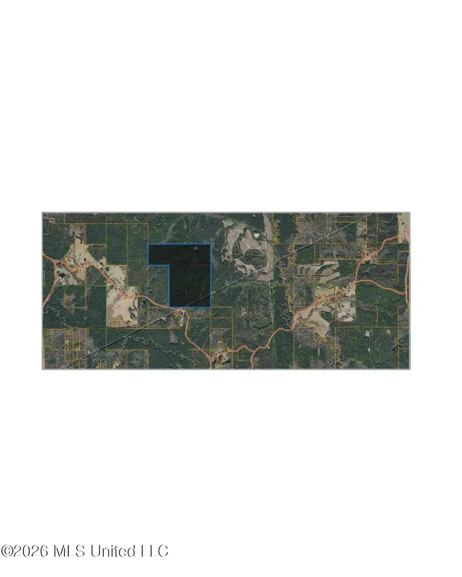 S C Road 114, Mize, MS 39116 - #2