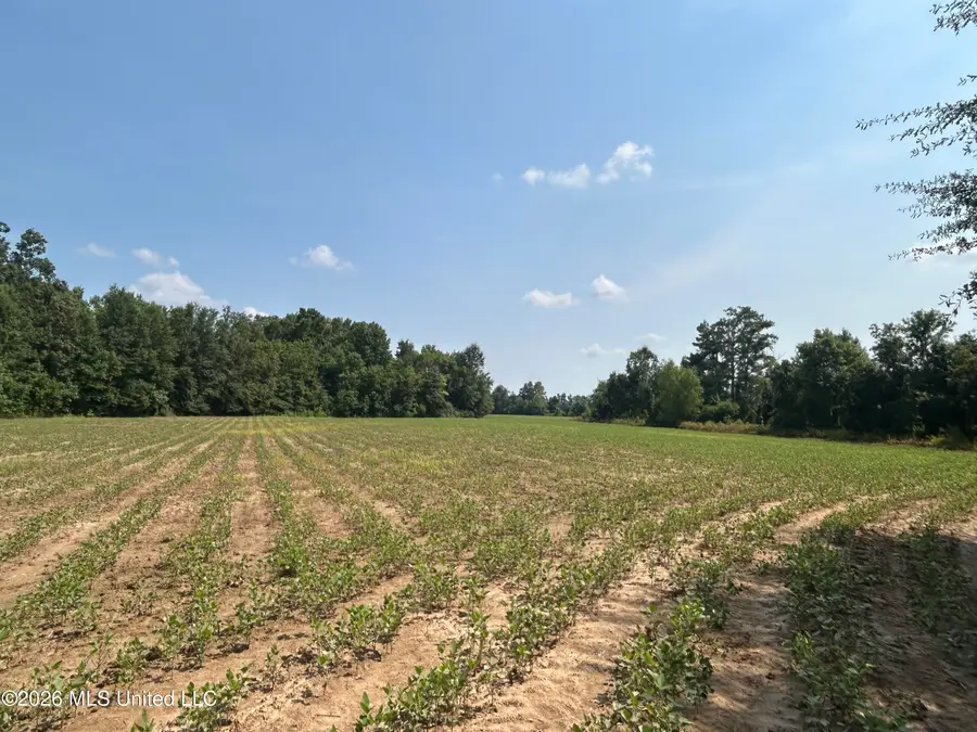 Leflore County, Greenwood, MS 38930 - #2